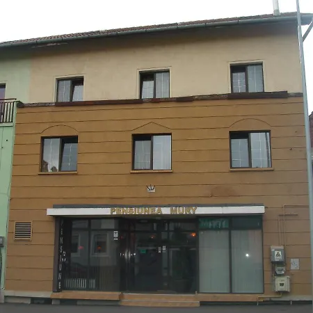 Pensiunea Mury 3* Braşov