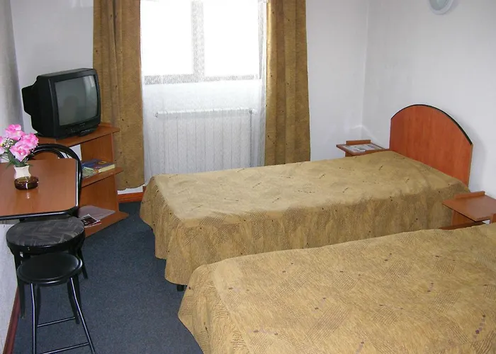 Hotel Pensiunea Mury 3*