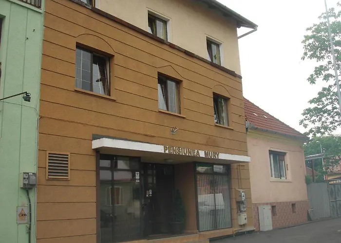 Pensiunea Mury 酒店 3*