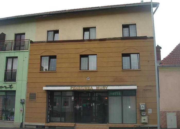 Pensiunea Mury 3* Braşov
